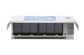Bộ lọc chống nấm mốc